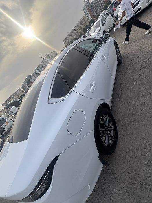 BYD CHAZOR 55 tali