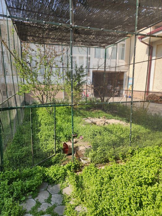 Qushlar uchun kotta Qafas sotiladi, продаётся клетка для птиц.