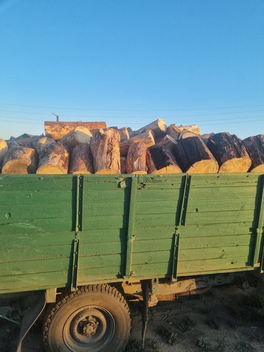 Продам дрова сухие