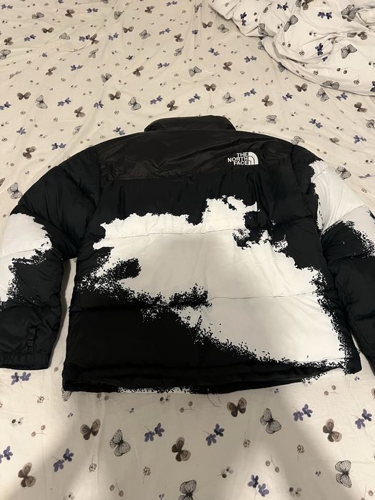 Geaca the north face