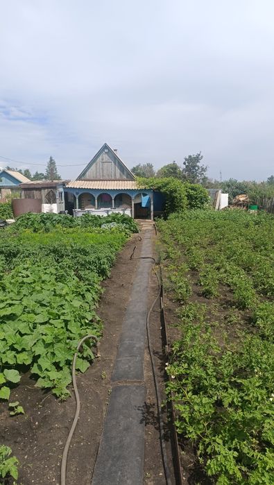 Продам дачу сады 2