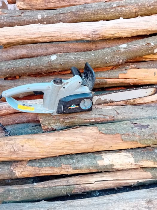 Vând drujbă electrică