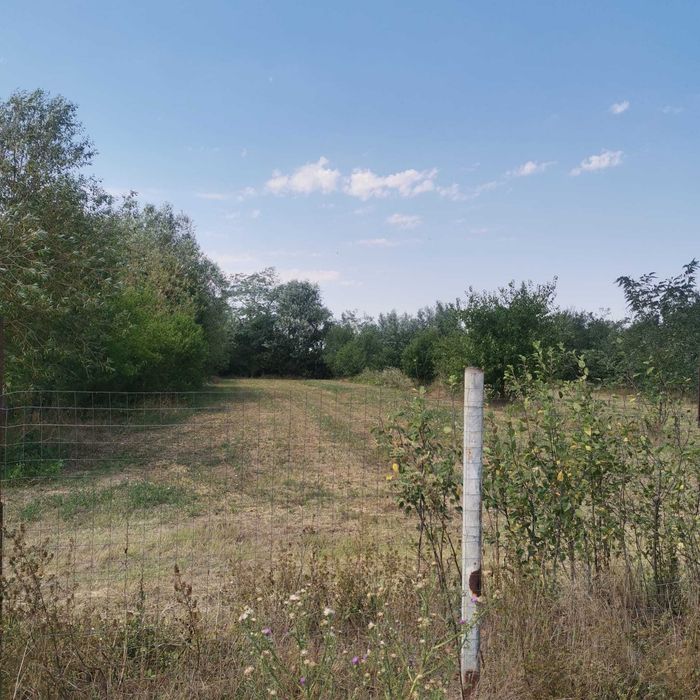 Teren Intravilan Braniștari – 1.000 mp | Utilități + Asfalt