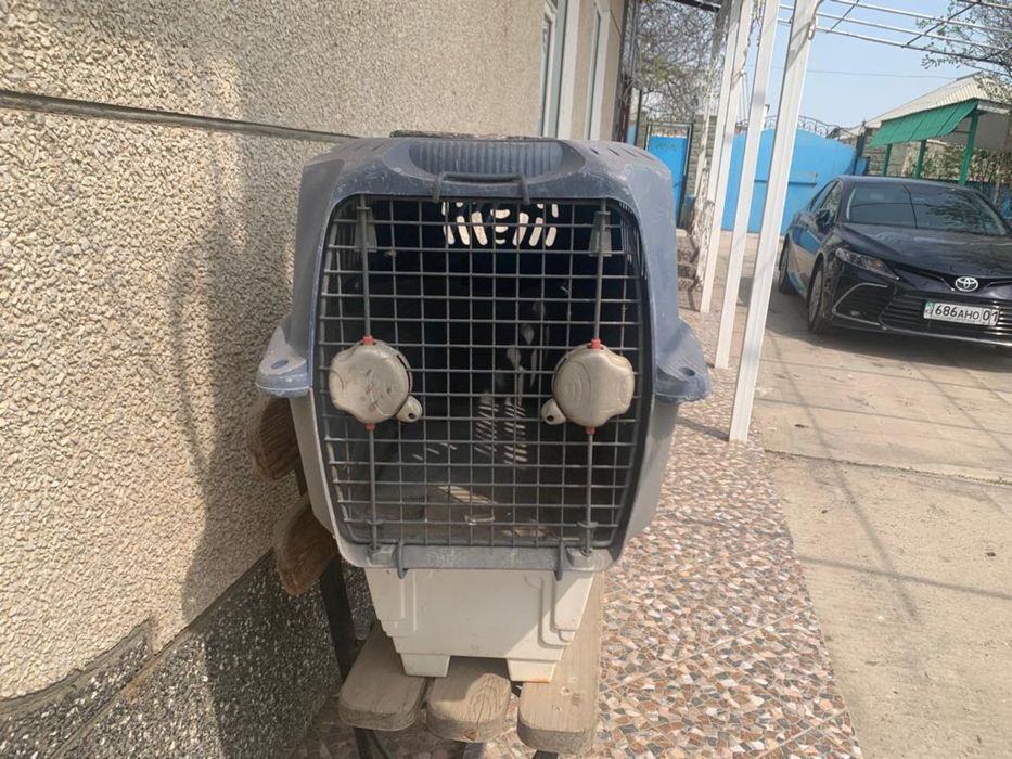 Продам бокс для перевозки собак/кошек