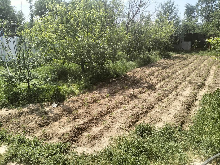 Дом на Шубарсу 12 соток