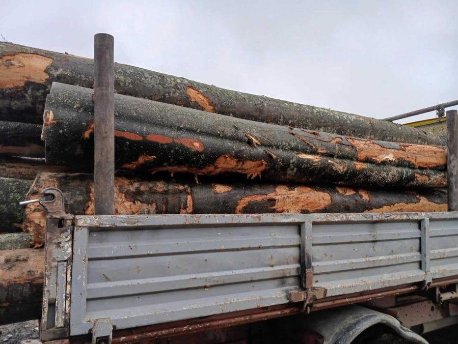 Vand lemn pentru foc de esenta tare, fag