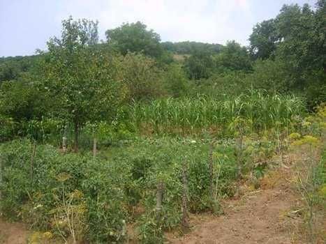 Продава се Къща в Варна, Генералите - 80 кв.м за 287 €/кв.м - Снимка #15