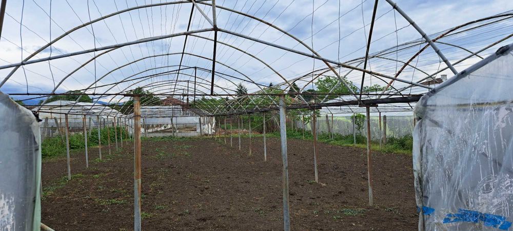 Оранжерия 240кв.м