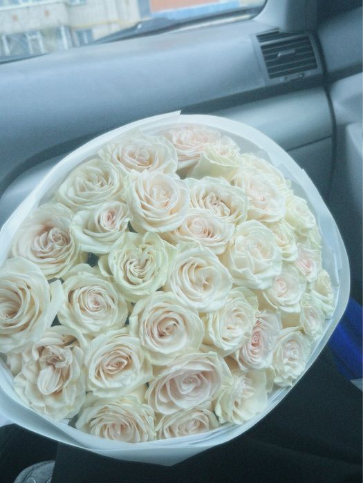 Роза 32 шт свежий