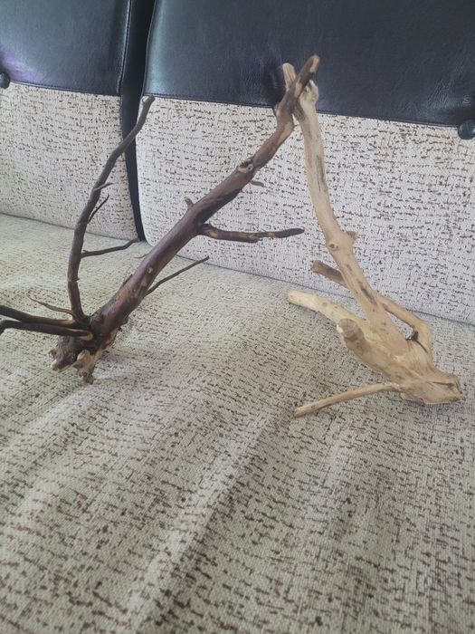 Cioate pentru acvariu diferite mărimi