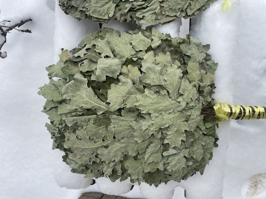 Дубовые веники