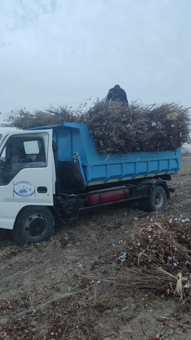 Poyo dastavkasi bilan