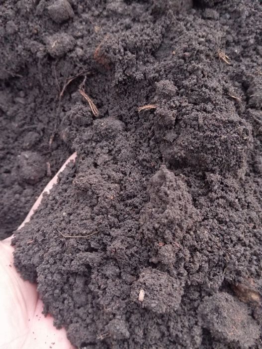 Перегной навоз чернозем Навоз