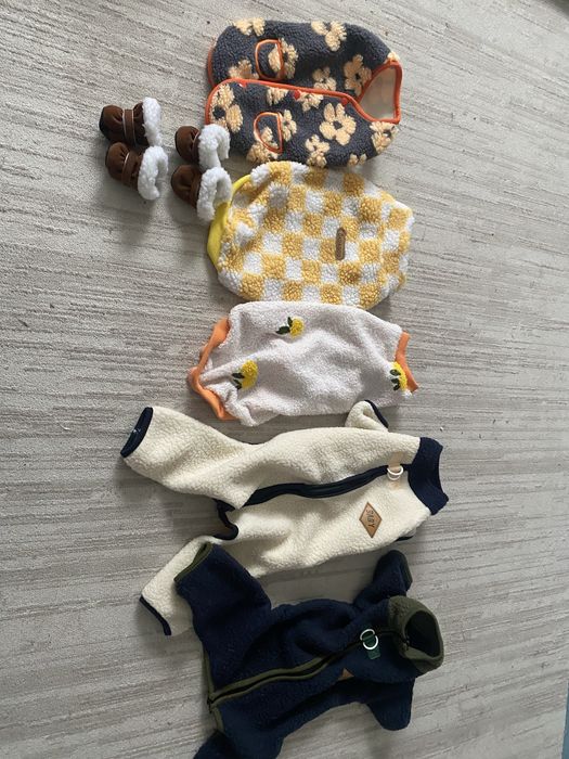 Одежда для собак