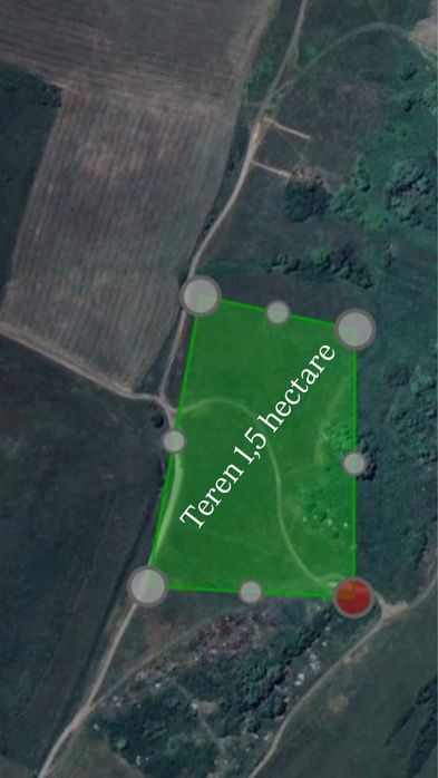 Teren 1,5 ha (15.000 mp) lângă DN13 – Rupea / zonă turistică – ideal cabane, pensiune, investiție.