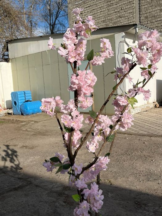 Сдаю в аренду искуственые деревья