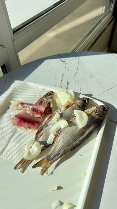 Рыбец балыгы бар