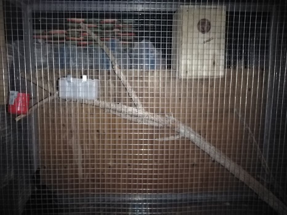 Клетка для попугая