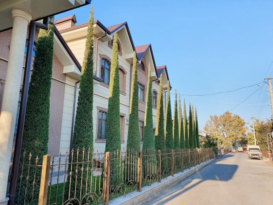 Archa kesish xizmati