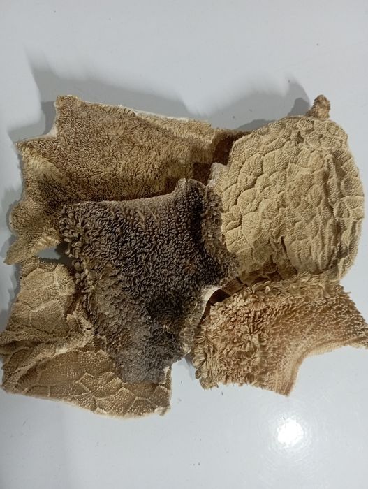 Сублимированный говяжий рубец  для собак