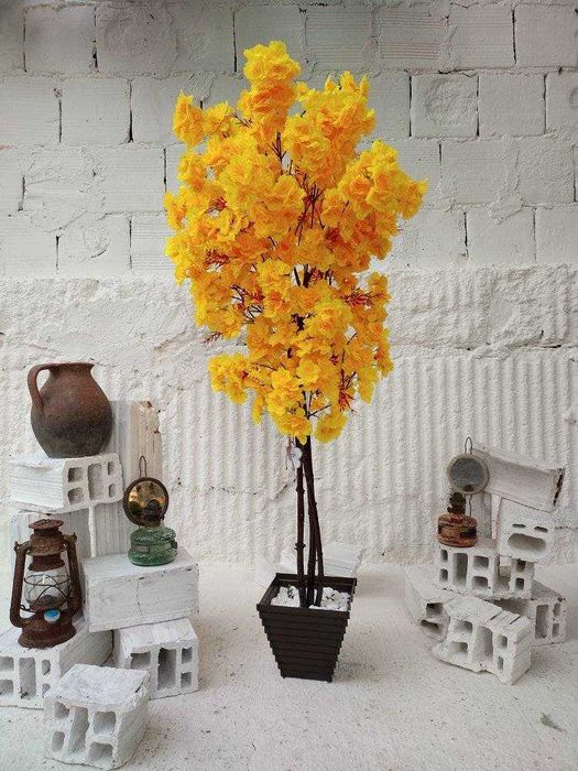 Декоративни дръвчета Аря