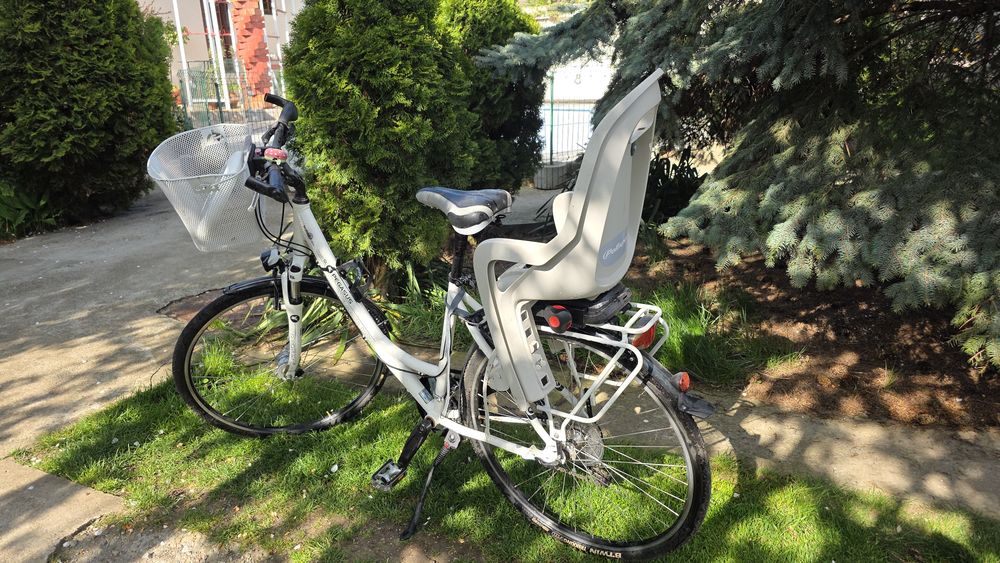 Bicicleta Pegasus