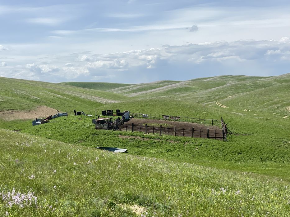 Продам фазенду срочно