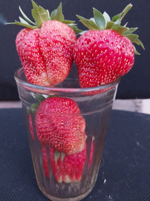 Продам клубнику ,одноразовая 70тг.