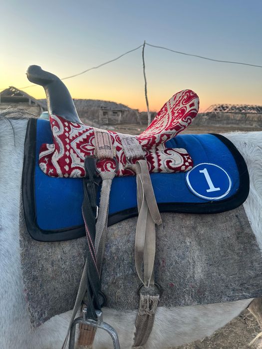 Ертокым сатылады