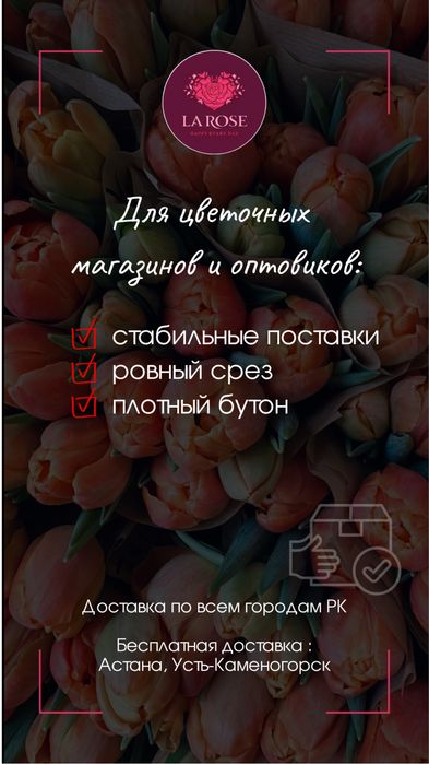 Бронь тюльпанов ОПТОМ на весну 2026