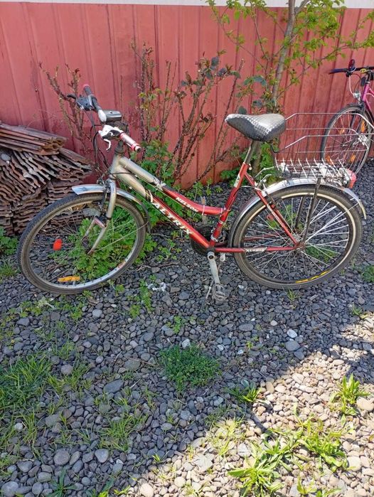 Vand bicicleta femei barbati