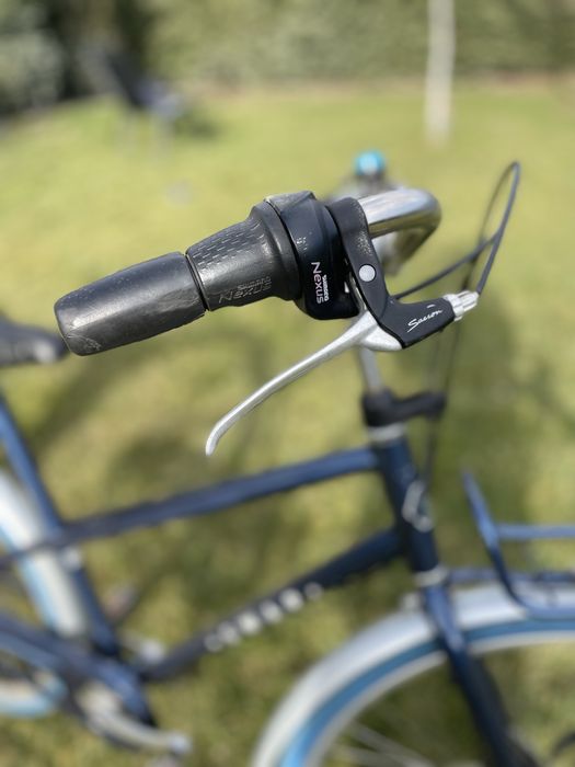 Bicicleta dama, oras