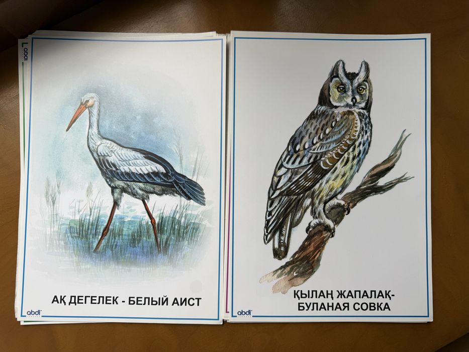 Крупные птици abdi