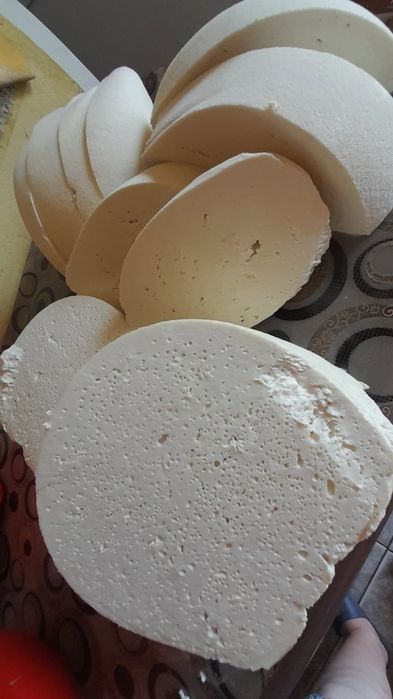 Vând caș de oaie 50 de lei kg