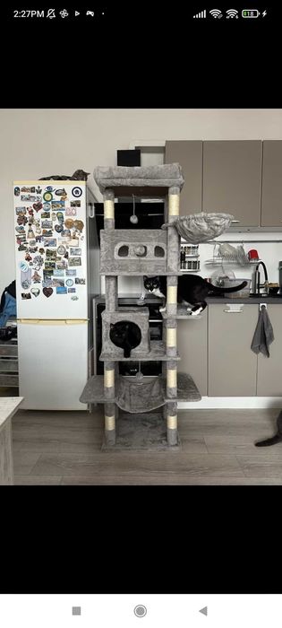 Катерушка за котки