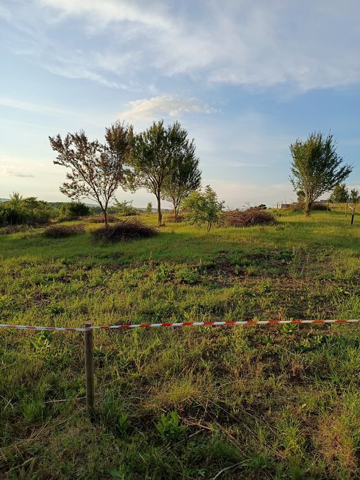 Dau in chirie teren intrav cluj n-  Sopor 1750mp