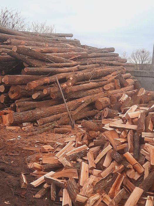 Lemne de foc sparte si uscate,esență tare. Livrare gratuita în tot jud