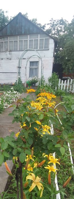 Продам дачу Сад Здоровье