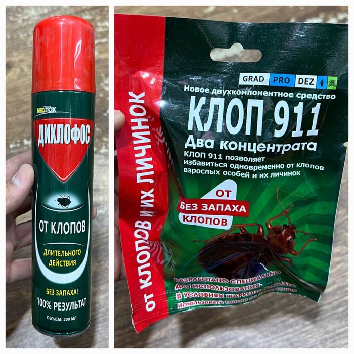 Таракан дори Америка (оригинал), клапа дори хам бор