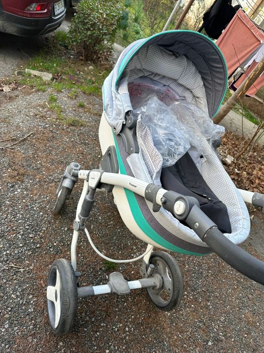 Carut Krausman Green