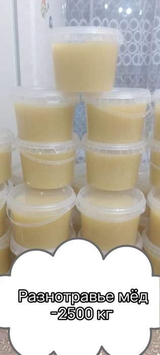 Натуральный мёд алтайский.
