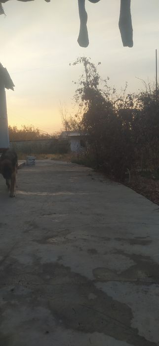 Продается дом бывшее дача