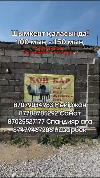 Қой баран тоқты құрбан айтқс