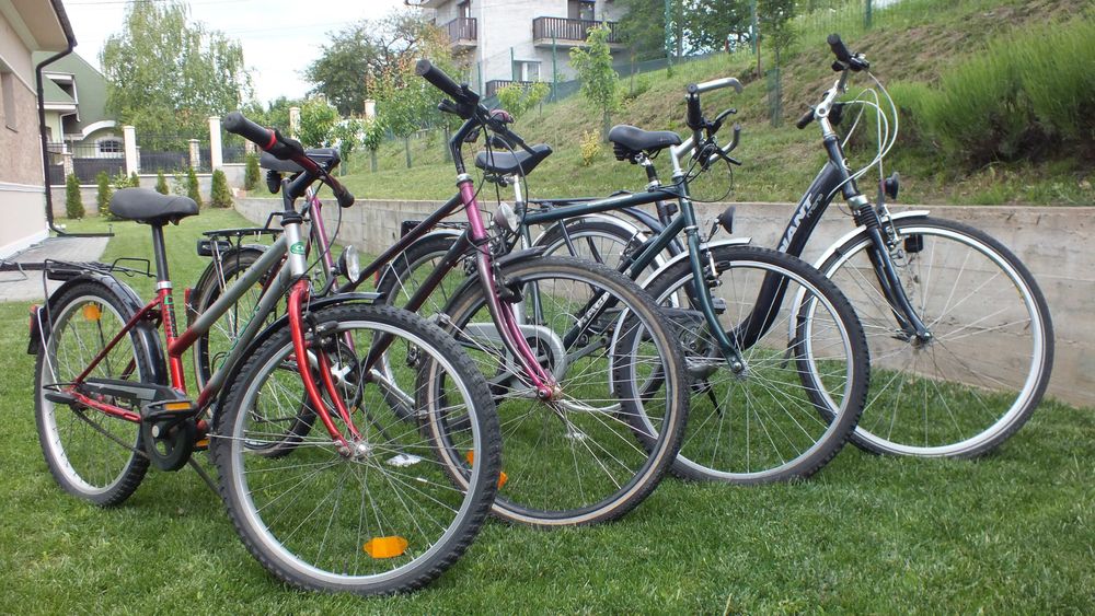 Biciclete pentru copii și adulți second hand Germania.