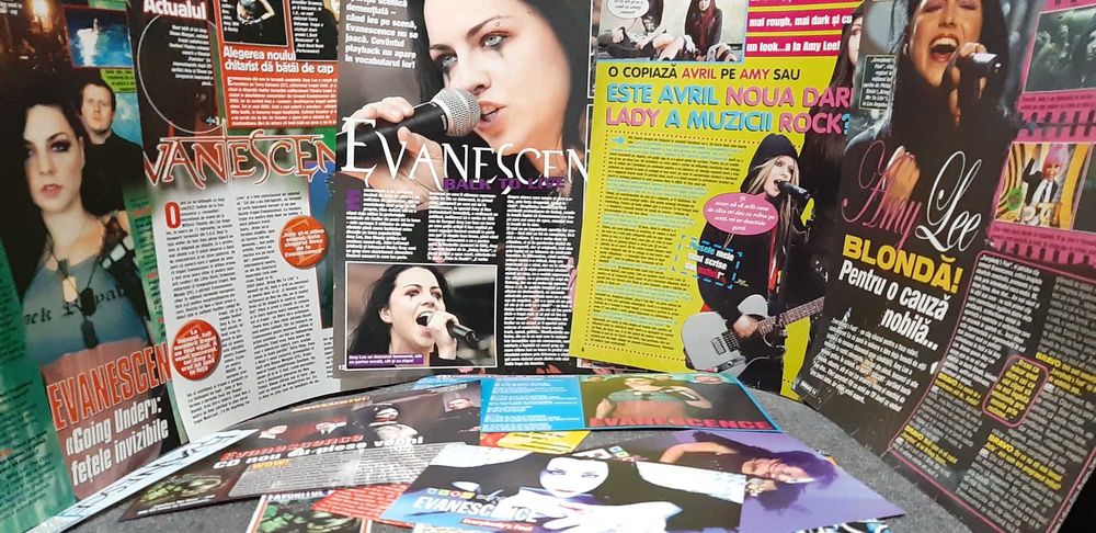 Colectie de articole cu Evanescence