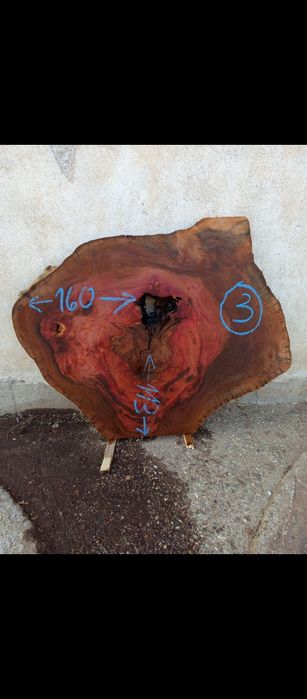 Шайби ф120-160см от чинар за заливане със смола за трапезна маса.