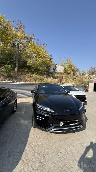 BYD Chempion EV.