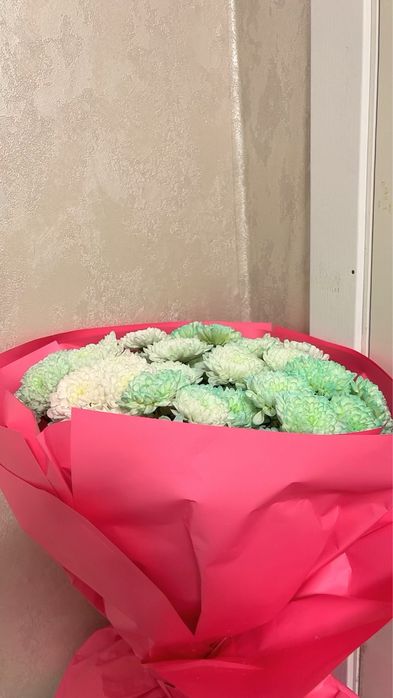Срочно продам цветы, харизантемы