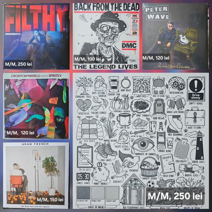 Discuri vinil ( vinyl)