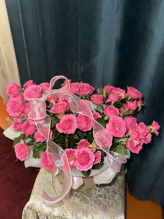 4 гул ,шарики сатылады